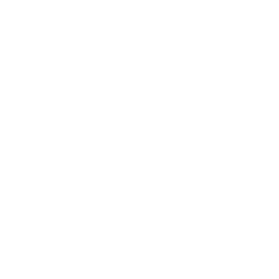 ce logo Lincoln Park